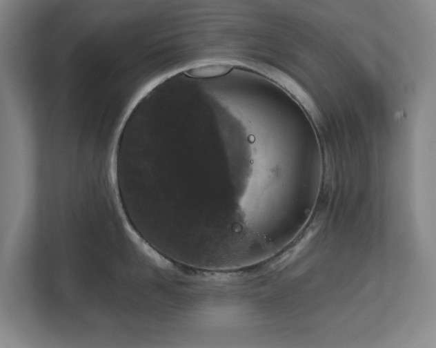 X0000112530958200908241504