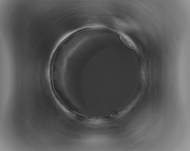 X0000112530959200908241504