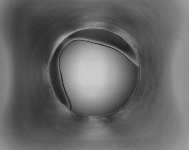 X0000112530960200908241504