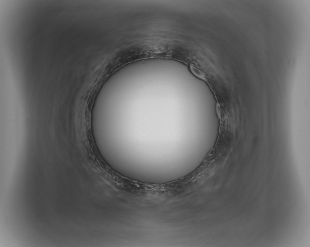 X0000112530961200908241503