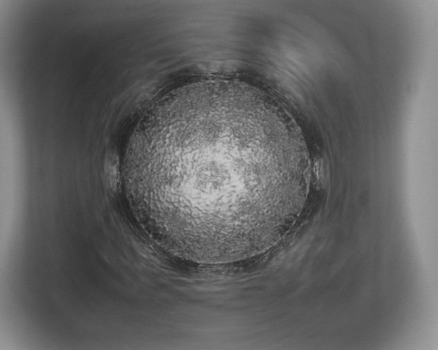 X0000112530963200908241503