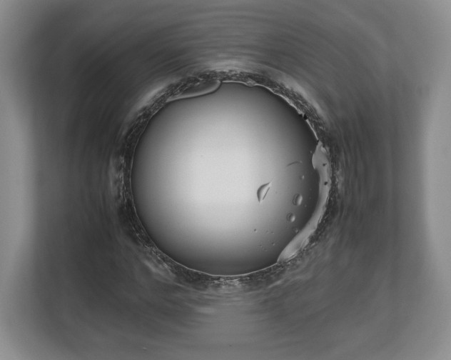 X0000112530968200908241503