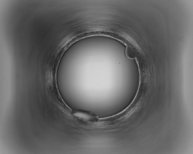 X0000112530969200908241503