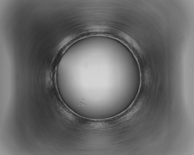 X0000112530970200908241503