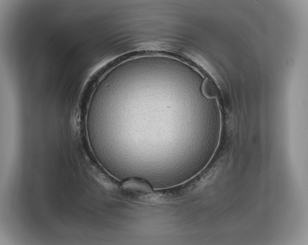 X0000112530971200908241503