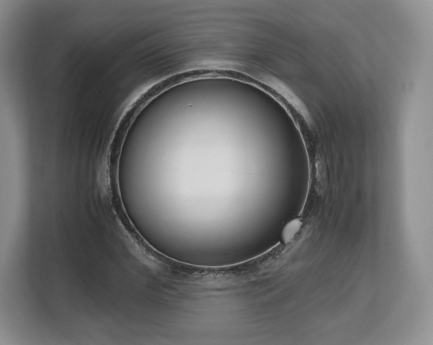X0000112530972200908241503