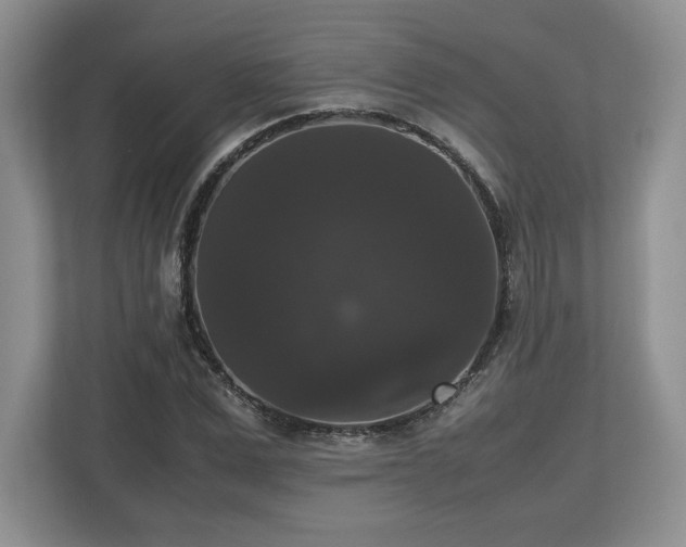 X0000112530975200908241503