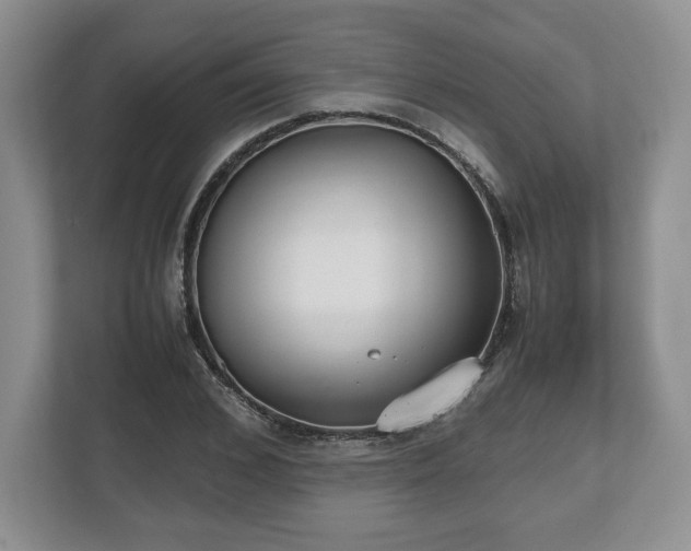 X0000112530976200908241503