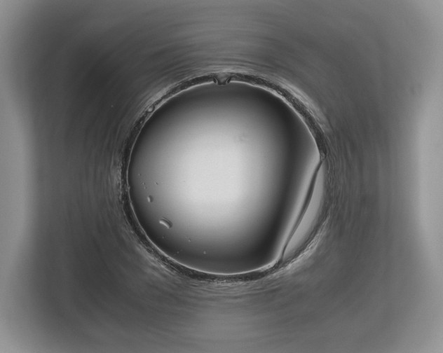 X0000112530977200908241503