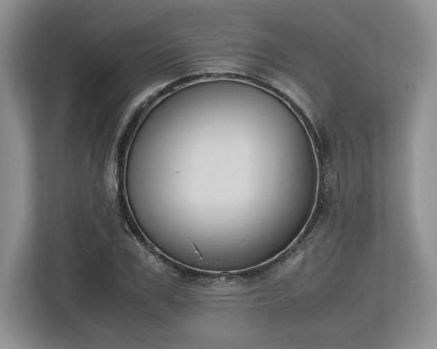 X0000112530979200908241503