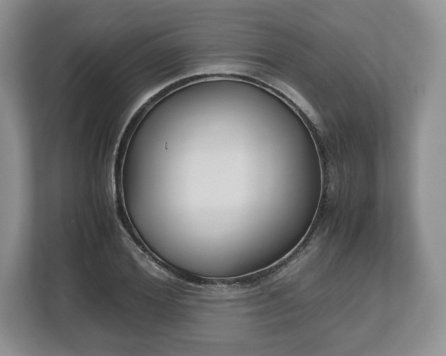 X0000112530980200908241503