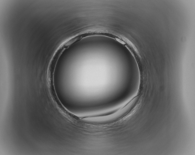 X0000112530981200908241503