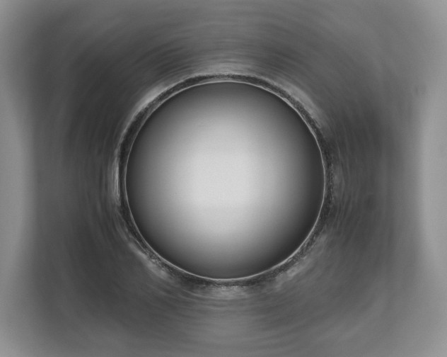 X0000112530982200908241503