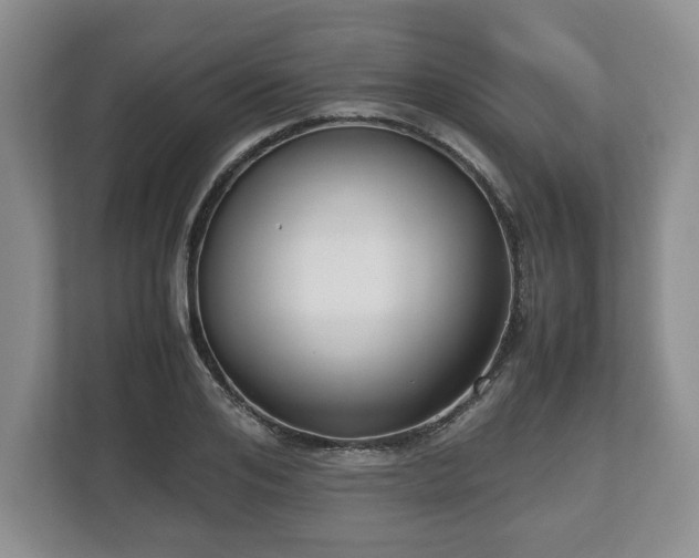 X0000112530984200908241503