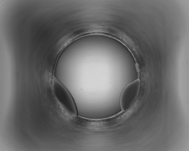 X0000112530985200908241503