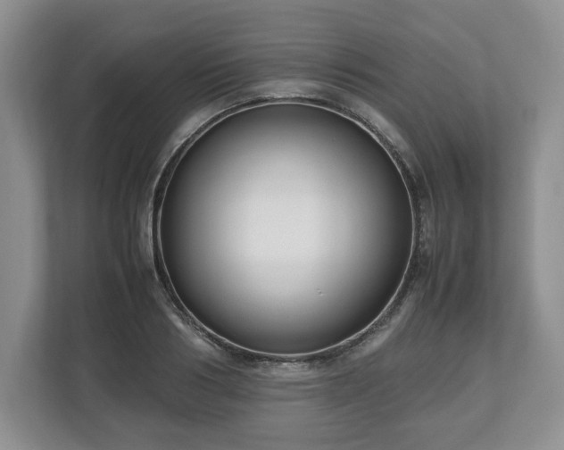 X0000112530986200908241503