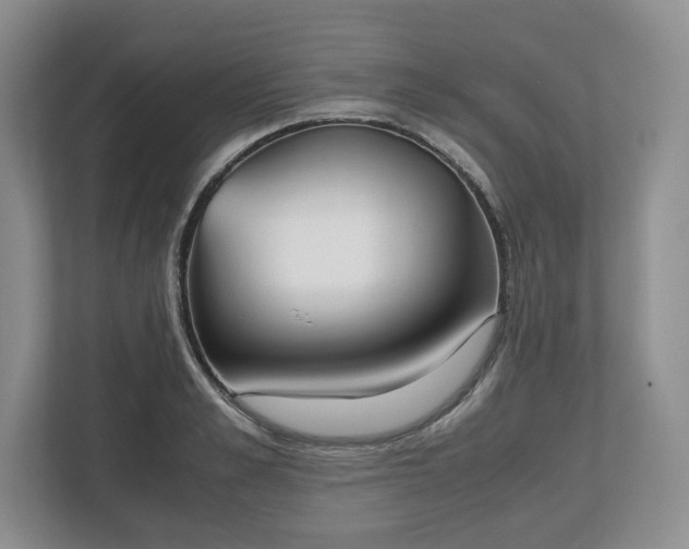 X0000112530989200908241503