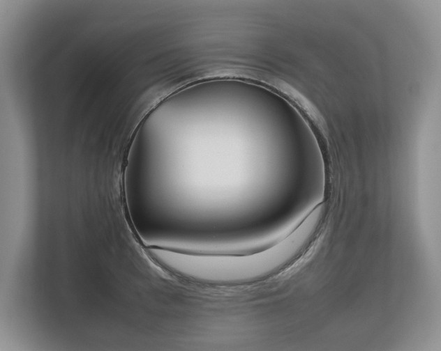 X0000112530993200908241503