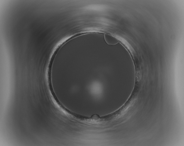 X0000112530995200908241503