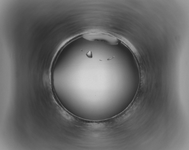 X0000112530996200908241503