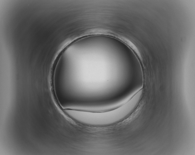 X0000112530997200908241503
