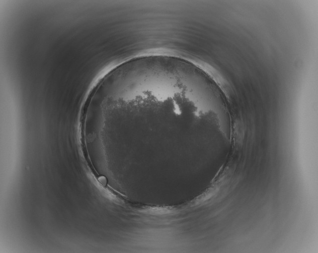 X0000112530998200908241503