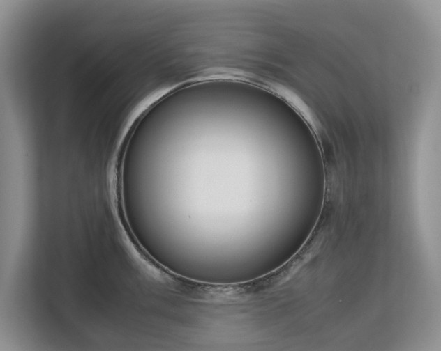 X0000112531003200908241503