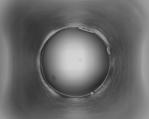 X0000112531005200908241503