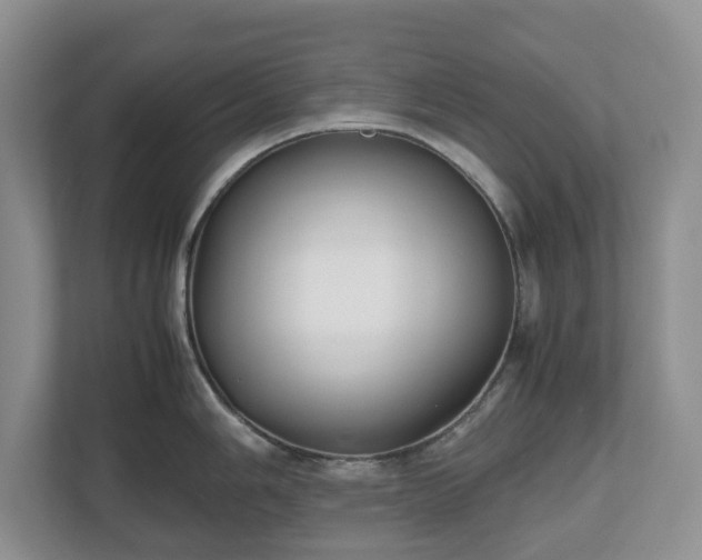X0000112531006200908241503