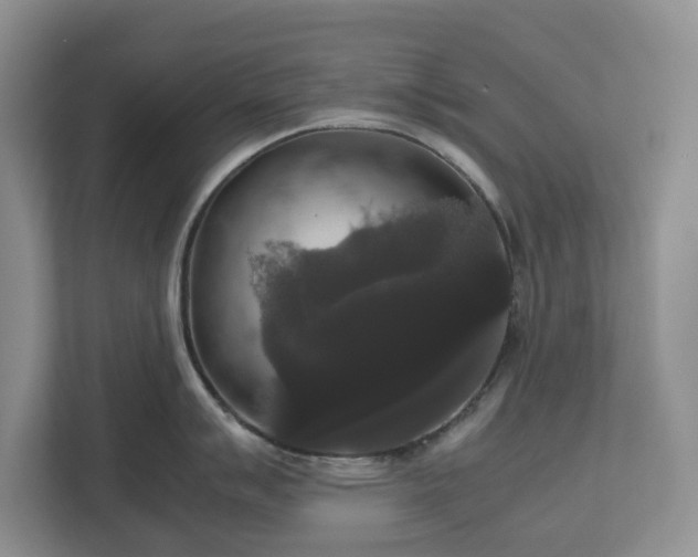 X0000112531007200908241503