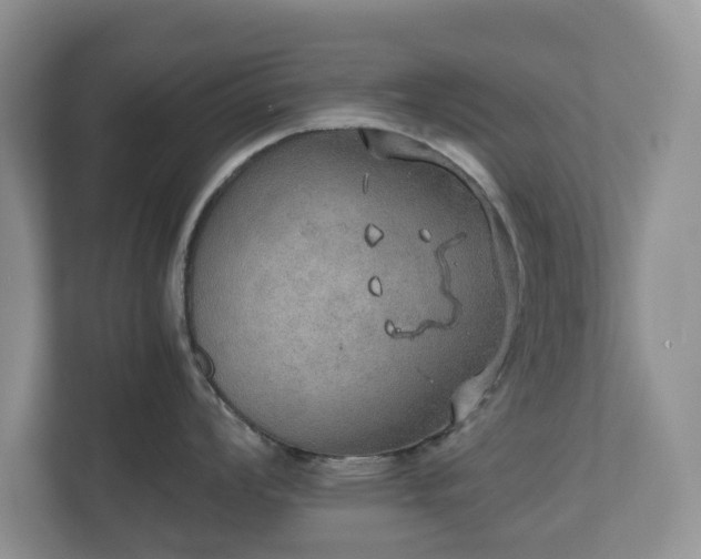 X0000112531008200908241503