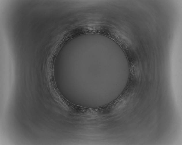 X0000112531009200908241502