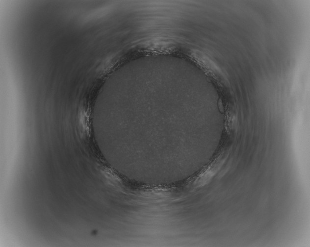 X0000112531010200908241502