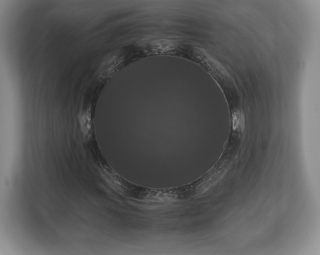 X0000112531011200908241502