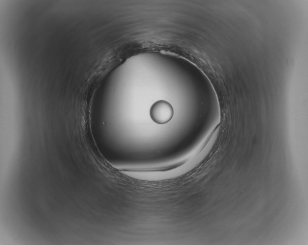 X0000112531012200908241502