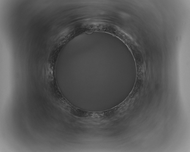 X0000112531013200908241502