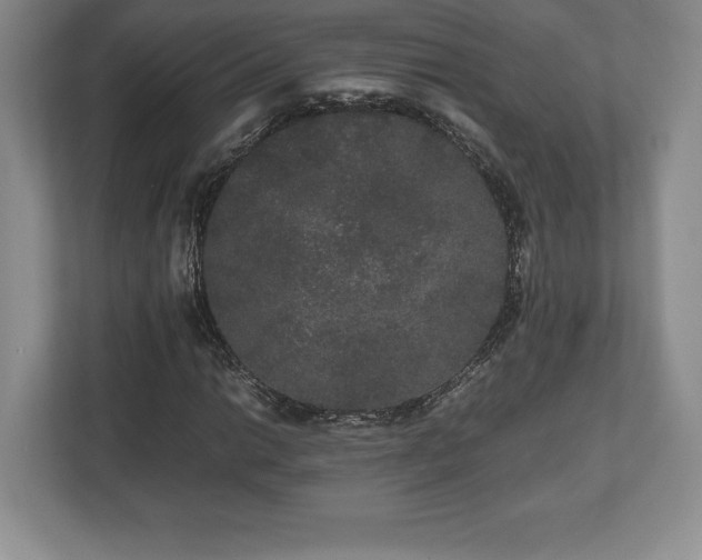 X0000112531014200908241502
