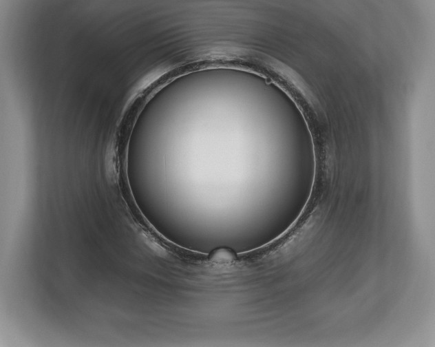 X0000112531018200908241502