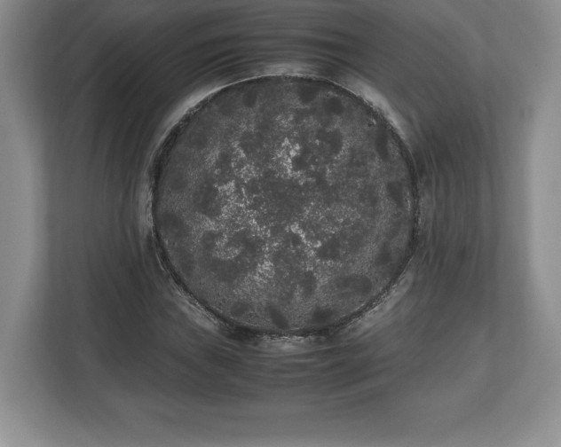 X0000112531019200908241502