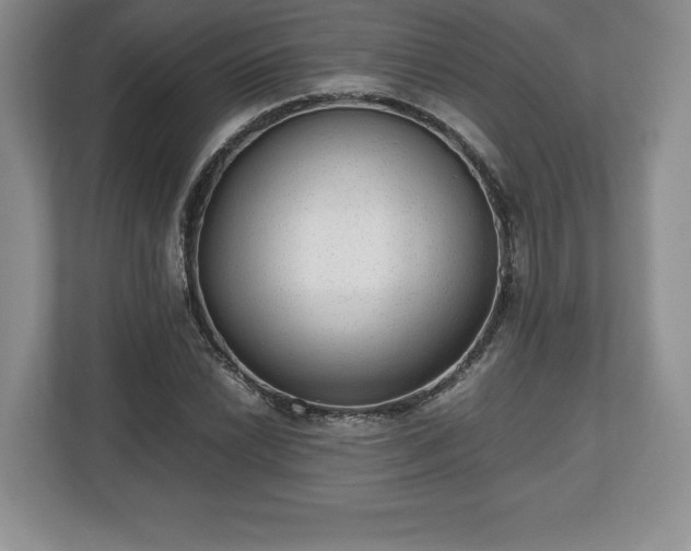 X0000112531022200908241502