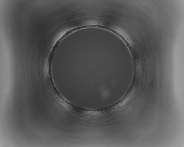 X0000112531023200908241502