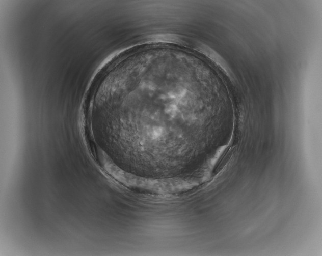 X0000112531024200908241502