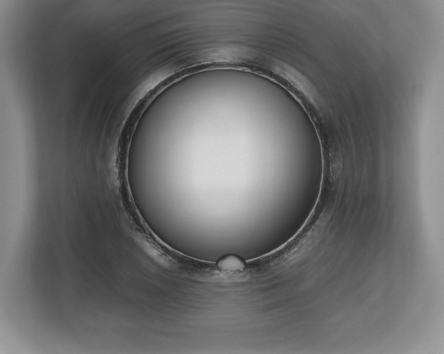 X0000112531026200908241502
