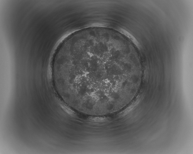 X0000112531027200908241502
