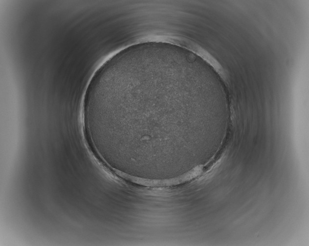 X0000112531028200908241502