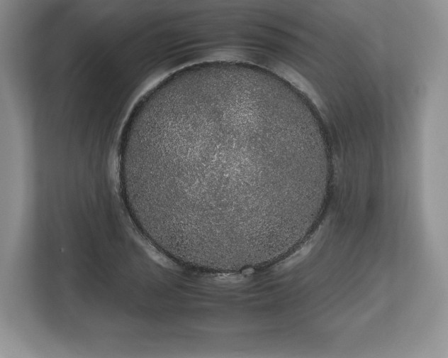 X0000112531029200908241502