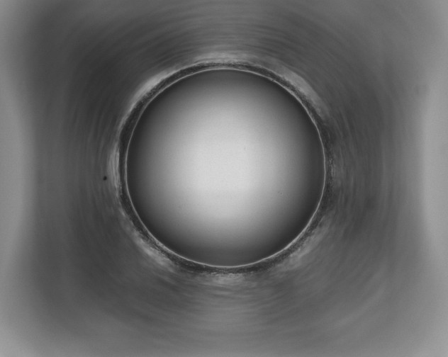 X0000112531030200908241502