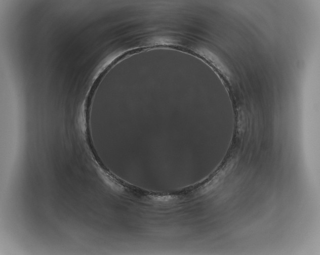 X0000112531031200908241502
