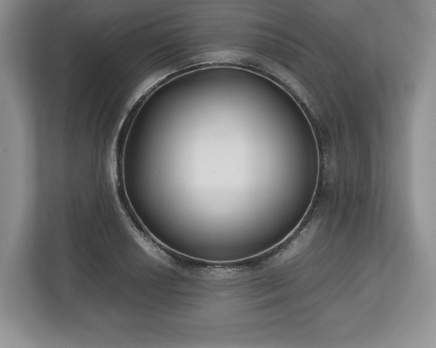 X0000112531034200908241502