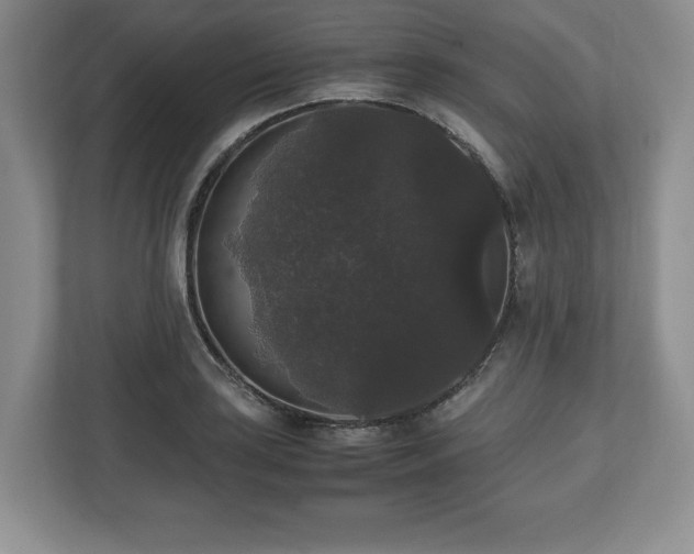 X0000112531035200908241502